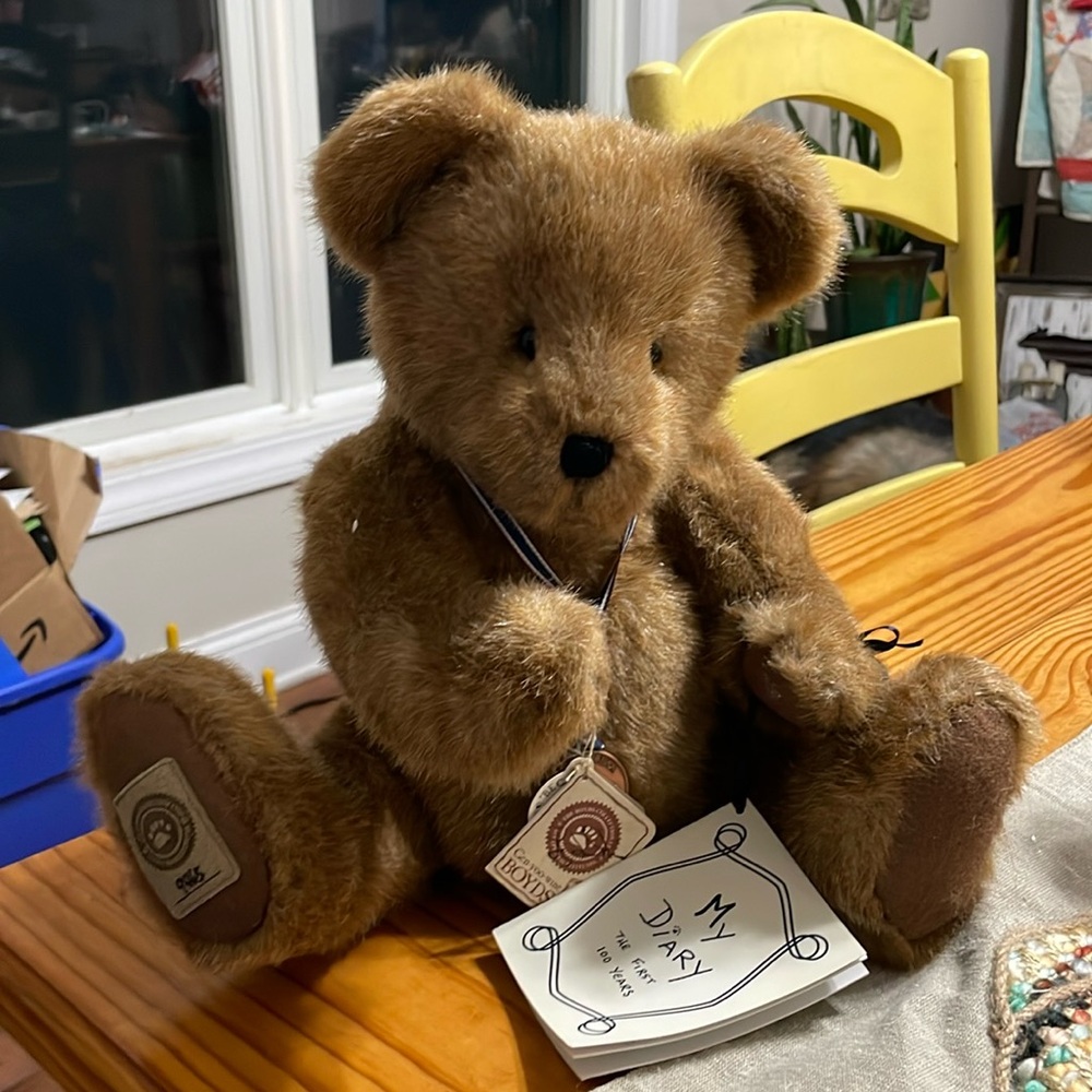 Theodore Boyd’s Bear My Diary The First 100 years, #9965 Excellent condition